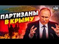 Разъяренный Путин приказал зачистить Крым от партизан: народ восстал против оккупации