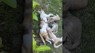 Oy Bu Ne Sıcak Yarabbim Oyy Yanirik Oyy