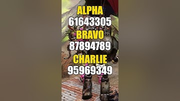 Fallout 76 Nuclear Launch Codes – Alpha, Bravo & Charlie Today