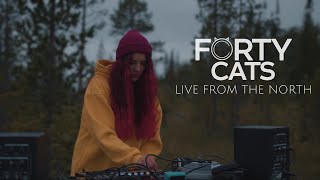Forty Cats Live From The North (Tundra, Murmansk)