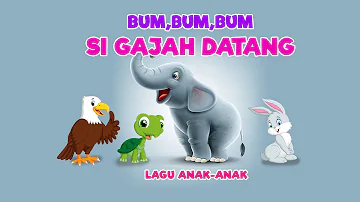 Bum Bum Bum Gajah Datang (Lagu Anak-anak)