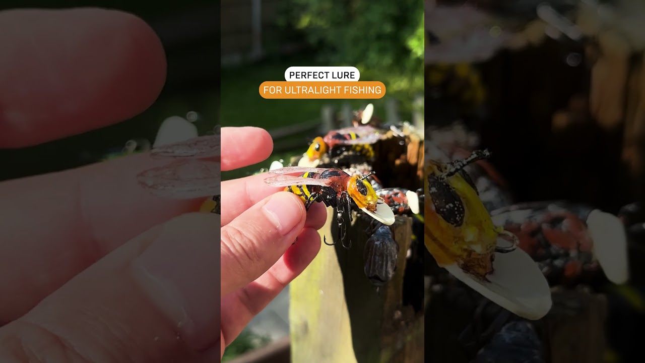 PERFECT Lure for Ultralight Fishing | Hornet Crankbait