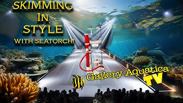 The slickest skimmer yet? We put the Seatorch Ultramarine to the test