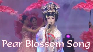 Li Yugang - Pear Blossom Song ~ Spring Festival Gala 2020 ENGLISH SUB