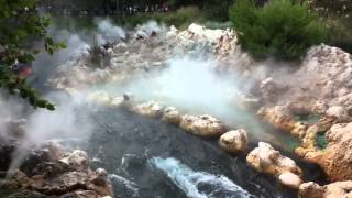 DCA - Grizzly River Run Geyser