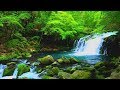 4k Japan 癒し自然映像 新緑の蓼科高原 滝めぐり１ 大滝 乙女滝 野鳥のさえずり Nature Relaxation Waterfall Tour Singing Birds