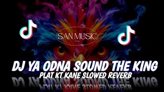 DJ YA ODNA SOUND THE KING PLAT KT KANE SLOWED REVERB(SAN MUSIC)