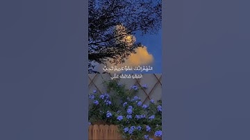 { أَفَمَن شَرَحَ ٱللَّهُ صَدۡرَهُۥ لِلۡإِسۡلَـٰمِ فَهُوَ عَلَىٰ نُورࣲ } سورة الزمر | محمد اللحيدان