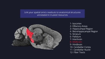 Spatial multi-omics data analysis made easy - 4/4