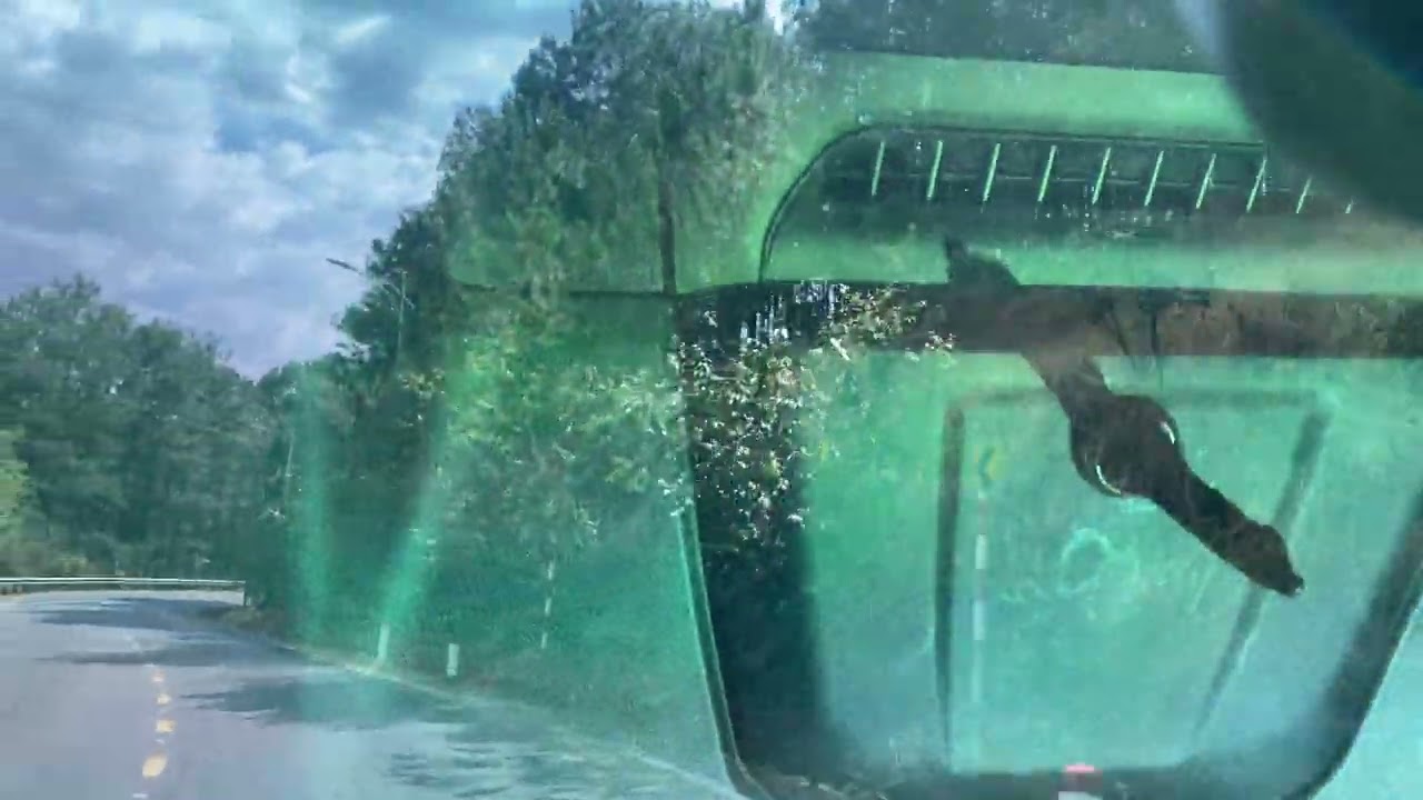 Đà Lạt- Tà Nung: Mùng 5 Bính Ngọ