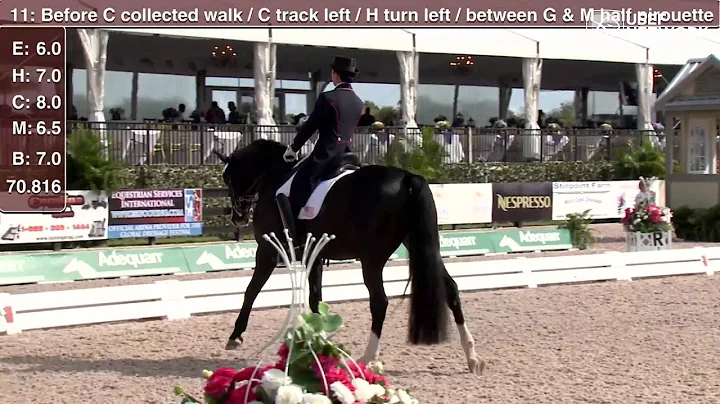 Shawna Harding and Rigo in Prix St. Georges at 201...