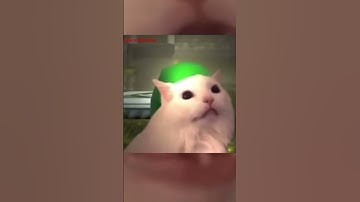 Saria’s Song Cat Edition | The Legend Of Zelda Ocarina Of Time #n64 #ocarinaoftime #zelda #ocarina