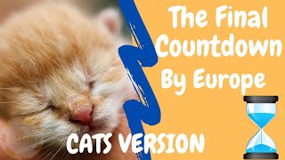 The Final Countdown by Europe (Cats Version) by MU6 - MusiX 20,577 views 2 years ago 1 minute, 54 seconds