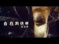 【自在與快樂】黃逢徵