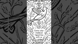 Color Your Way Through Medieval History: A Tapestry Coloring Book