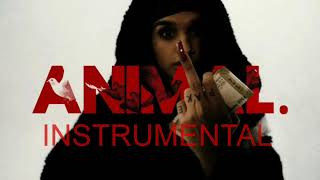 KINARI - ANIMAL INSTRUMENTAL