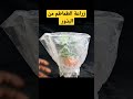 زراعة الطماطم بطريقة سهلة وسريعة Growing Tomatoes The Easy Way زراعة زراعة الطماطم أفكار 