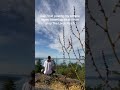 Some clear mountain air wooo! #beatmaker #instrumental #originalbeats #boombaprapbeat #rap