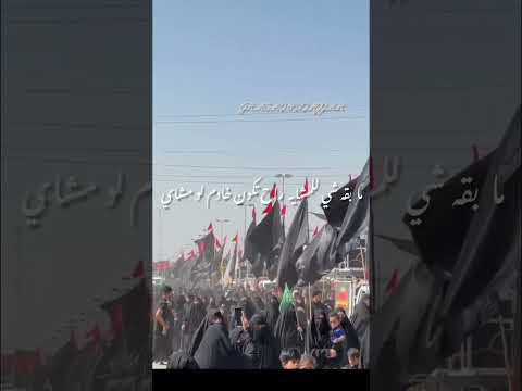 رج ال العز عباس عجيد العامري عباس عجيد العامري اشتراك لايك