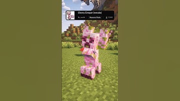 This is the best Minecraft texture pack… (Part 47) #shorts #minecraft #games #memes #mods #top