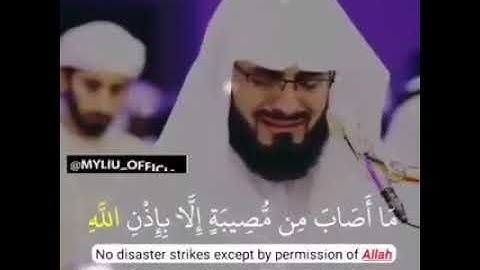 رعد الكردي  سورة التغابن 🌸