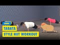 Ultimate hiit 1 entranements nimporte o et  tout moment