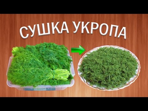 Как качественно сушить укроп? | Сушеная зелень | Травы приправы