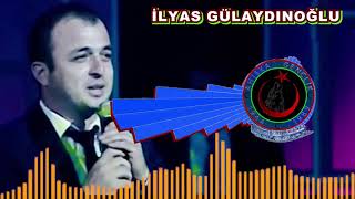 İlyas Gülaydinoğlu Özle Yar