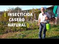 FUNGICIDA ECOLÓGICO dónde y cómo UTILIZARLO