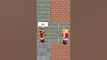 Steve King Took Her Crown… Technoblade Freed Her 👑⚔️ (Minecraft Animation)