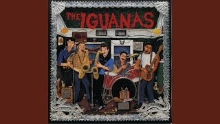 Video thumbnail of "The Iguanas - No Te Olvidare"