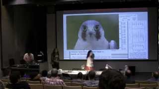 Bird Specimens 3: Alternative preparation types and media in modern avian collections