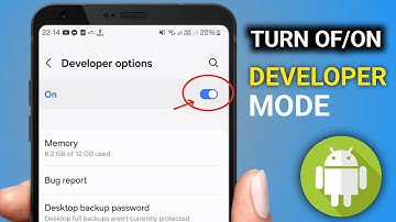 How To Enable/Disable DEVELOPER OPTIONS On Any Android (2025)