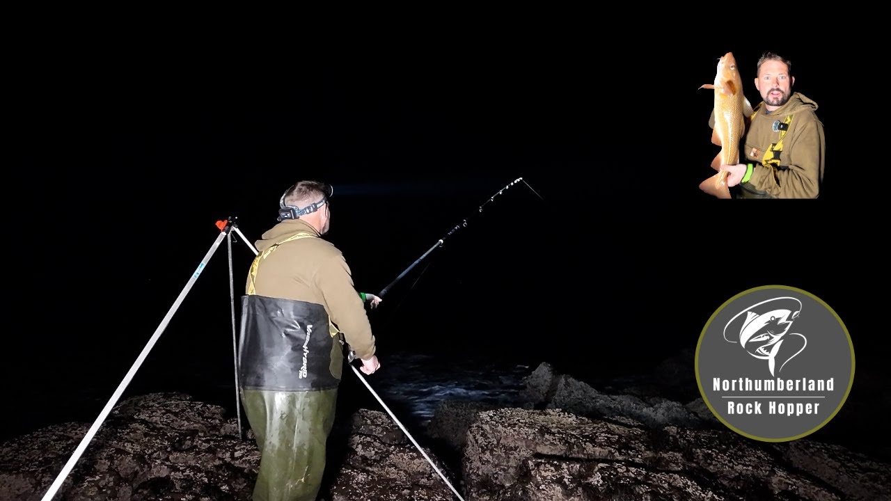 Northumberland Cod