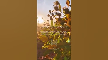 من الآية 90 إلى الآية 98 من #سورة_الشعراء #تلاوة_هادئة #اللهم_تقبل #راحة_نفسية #تلاوة #تلاوات