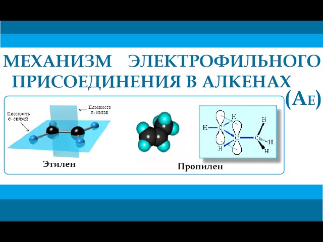 Алкены. Механизм реакции электрофильного присоединения.