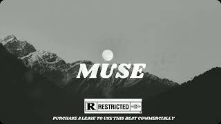 Ruger x BNXN x Dancehall Type Beat | Dancehall Instrumental 2024 - “MUSE”