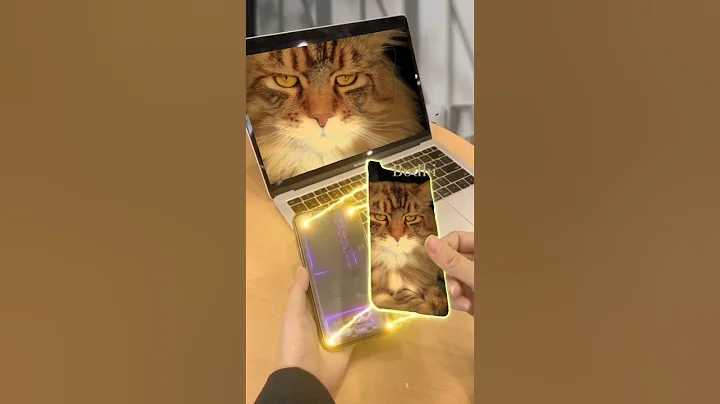 Video 5806831: european maine coon cat, polydactyl maine coon cat, mainecoon cat cute