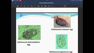 Micro - lecture 20 part 3 - Doctor Hazem