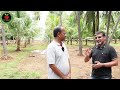 Subsurface Drip Irrigation|கீழ்மட்ட சொட்டுநீர் பாசனத்தால் நீரின் பயன்பாட்டை 50% வரை குறைக்க முடியும்