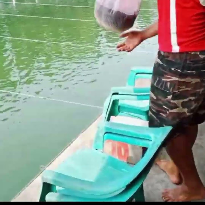 lomba mancing di PMC 74 Deplu dengan.media umpan kelapa muda #fyp #viral #umpankelapamuda #shotrs