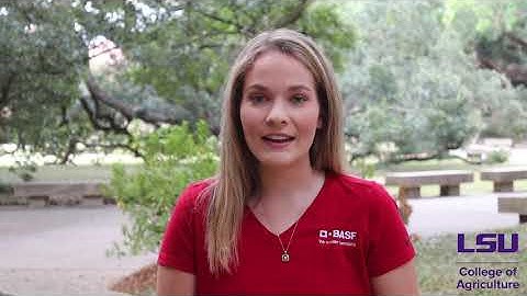 Brooklyn Hampton Internship with BASF