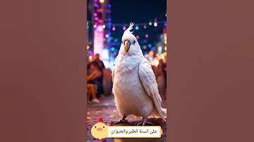 أنا الطير بحر الحرية في جناحي ما بين السماء والأرض أجول 