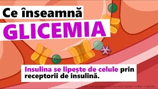 GLICEMIA. Cum Acționează Insulina și Zahărul în Corpul Nostru?