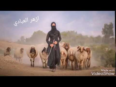 موال خليجي