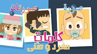 تعليم الكلمات العربية للاطفال | تعلّم المفرد و المثنى | تعلم  اللغة العربية مع زكريا