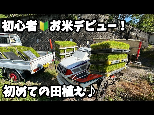 クボタ田植え機　※おかげさまで高評価もらってますさん専用 クボタ田植え機 ※おかげさまで高評価もらってますさん専用