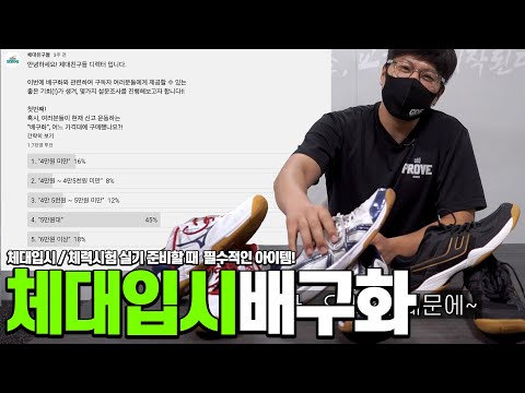 체대입시 배구화를 최저가로 구매하는 방법