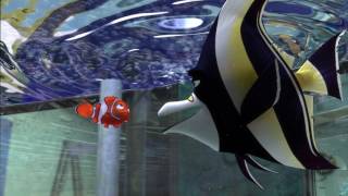 Video Sample Finding Nemo 2003 BRRip 1080p x264 Dual AudioEnglish 5 1 + Hindi 5 1 prisak {HKRG} download MP3, 3GP, MP4, WEBM, AVI, FLV April 2018 Video Sample Finding Nemo 2003 BRRip 1080p x264 Dual AudioEnglish 5 1 + Hindi 5 1 prisak {HKRG} download MP3, 3GP, MP4, WEBM, AVI, FLV April 2018