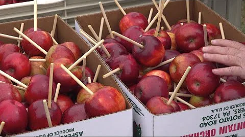 58th annual National Apple Harvest Festival happening this weekend - DayDayNews